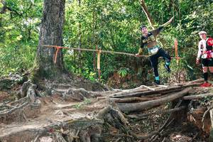 BIB: 
                            <button type="button" onclick="openModal(27556845)" class="btn btn-primary btn-sm float-right btn-popup" data-toggle="modal" data-target=".modal-high-quality">
                        <i class="fas fa-shopping-cart"></i> Add to Cart
                    </button>
                                            <button type="button" onclick="isThisMe(27556845, true)" class="btn btn-success btn-sm float-right btn-popup btn-isme hidden" data-toggle="tooltip" data-placement="bottom" title="นี่คือรูปของคุณใช่ไหม คลิกที่นี่เพื่อเอาเข้าอัลบั้ม">
                        <i class="fas fa-plus"></i> Add to album
                    </button>
                    <button type="button" onclick="isThisMe(27556845, false)" class="btn btn-warning btn-sm float-right btn-popup btn-isnotme hidden">
                        <i class="fas fa-ban"></i> Remove from album
                    </button>